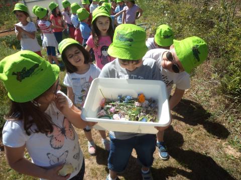 As crianças procuraram e exultaram com as descobertas feitas: as flores que procuravam!
